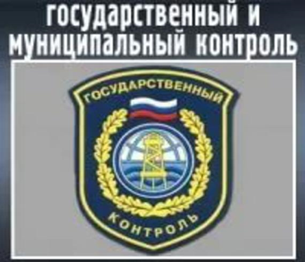 Государственный и муниципальный контроль - по новому закону